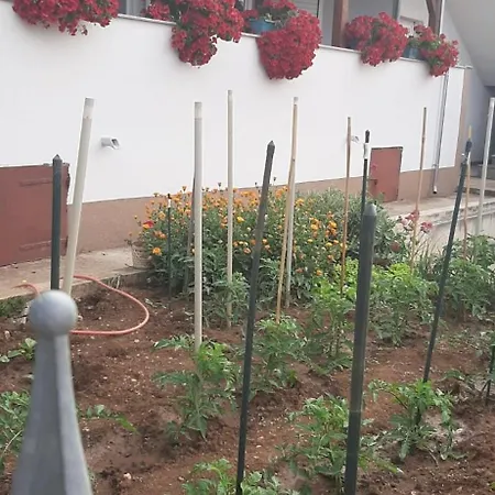 Jopa *
